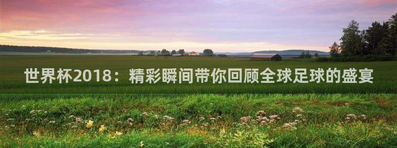 世界杯 2026:世界杯2018:精彩瞬间带你回顾全球足球的盛宴