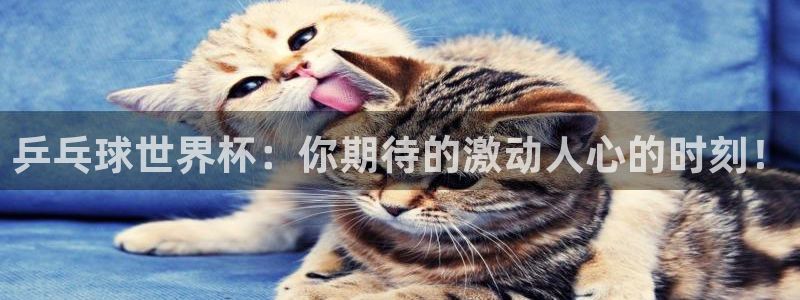 中国 世界杯:乒乓球世界杯:你期待的激动人心的时刻!