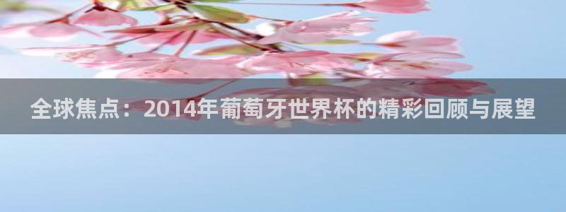 2026年世界杯直播平台:全球焦点:2014年葡萄牙世界杯的精彩回顾与展望