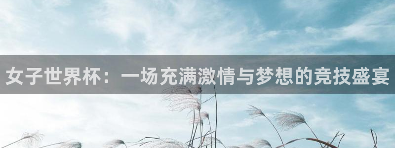 2026世界杯32强对阵图表:女子世界杯:一场充满激情与梦想的竞技盛宴