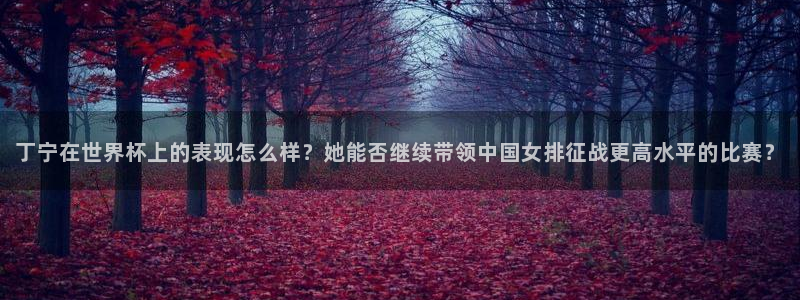 世界杯预选赛规则:丁宁在世界杯上的表现怎么样?她能否继续带领中国女排征战更高水平的比赛?