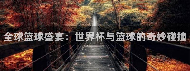 世界杯对阵表:全球篮球盛宴:世界杯与篮球的奇妙碰撞