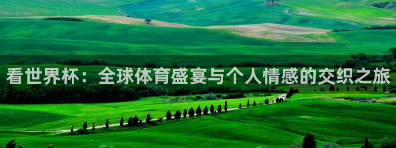 世预赛赛程表:看世界杯:全球体育盛宴与个人情感的交织之旅