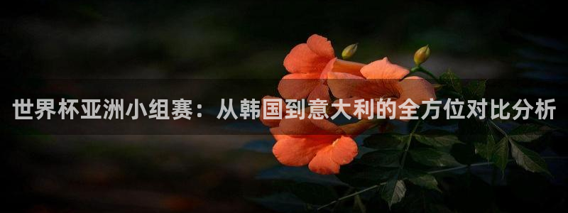2026世预赛赛程表:世界杯亚洲小组赛:从韩国到意大利的全方位对比分析