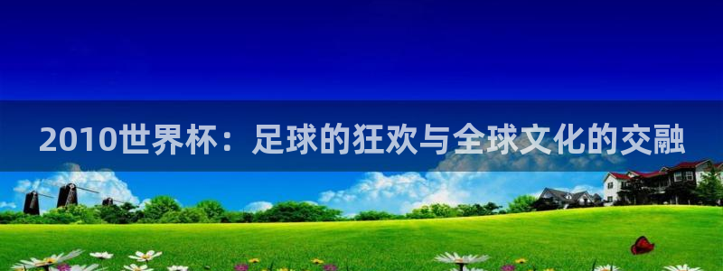 美国世界杯:2010世界杯:足球的狂欢与全球文化的交融