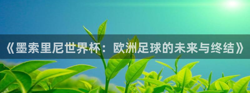 世界杯亚洲区预选赛积分榜:《墨索里尼世界杯:欧洲足球的未来与终结》