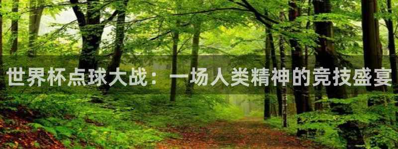 2026世界杯赛程表完整版:世界杯点球大战:一场人类精神的竞技盛宴