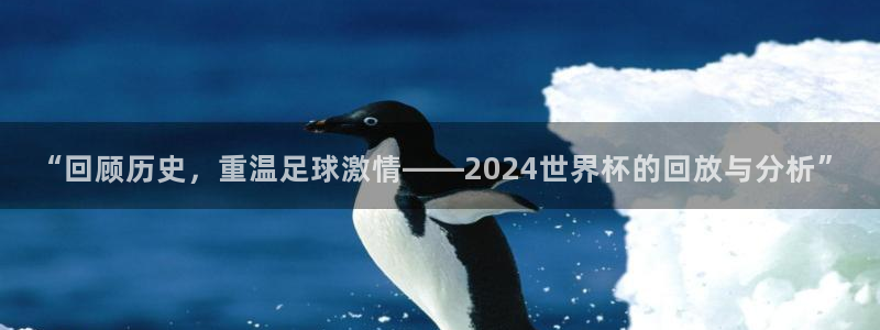 世界杯足球比赛:“回顾历史,重温足球激情——2024世界杯的回放与分析”